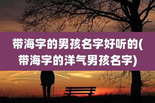 带海字的男孩名字好听的(带海字的洋气男孩名字)