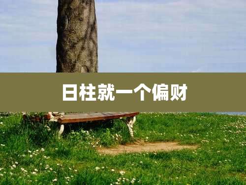 日柱就一个偏财