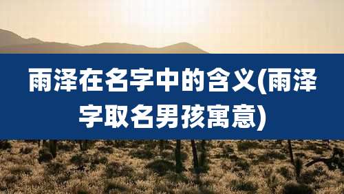 雨泽在名字中的含义(雨泽字取名男孩寓意)