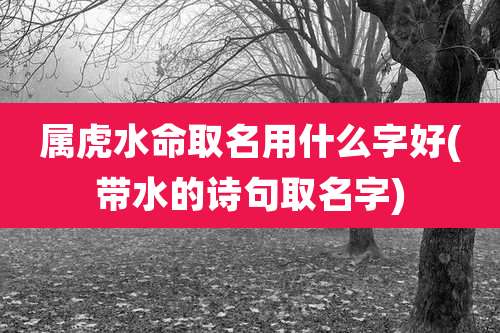 属虎水命取名用什么字好(带水的诗句取名字)