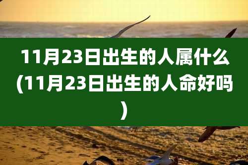 11月23日出生的人属什么(11月23日出生的人命好吗)