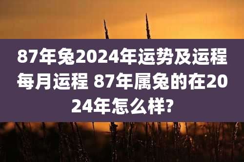 87年兔2024年运势及运程每月运程 87年属兔的在2024年怎么样?