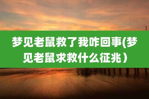 梦见老鼠救了我咋回事(梦见老鼠求救什么征兆)