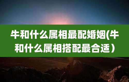 牛和什么属相最配婚姻(牛和什么属相搭配最合适)