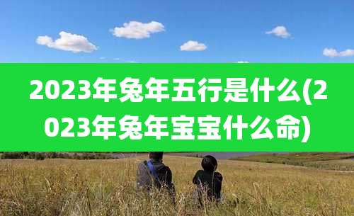 2023年兔年五行是什么(2023年兔年宝宝什么命)