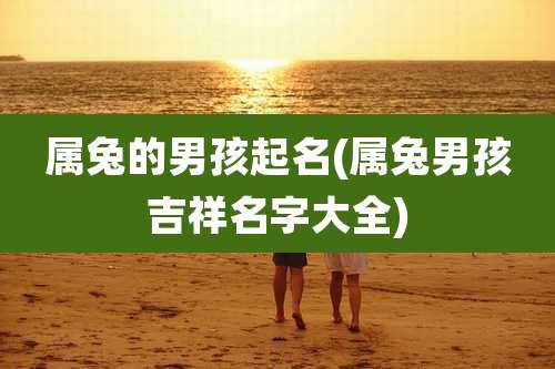 属兔的男孩起名(属兔男孩吉祥名字大全)