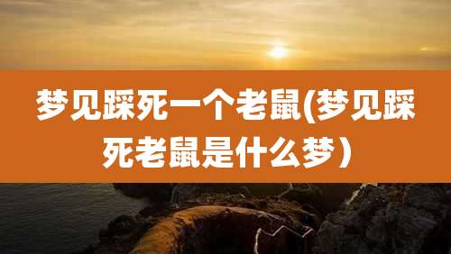 梦见踩死一个老鼠(梦见踩死老鼠是什么梦）