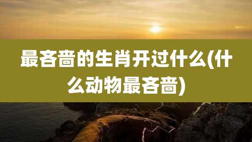 最吝啬的生肖开过什么(什么动物最吝啬)