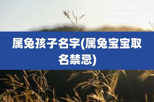 属兔孩子名字(属兔宝宝取名禁忌)