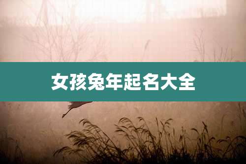 女孩兔年起名大全