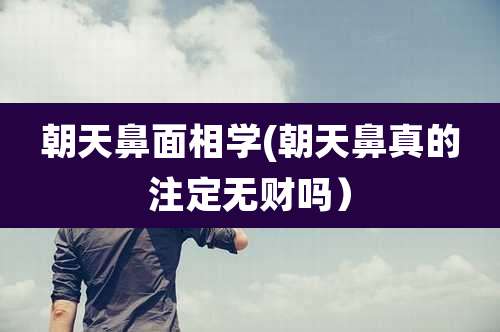 朝天鼻面相学(朝天鼻真的注定无财吗)