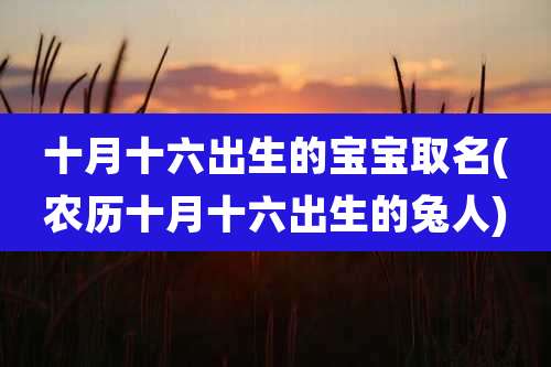 十月十六出生的宝宝取名(农历十月十六出生的兔人)