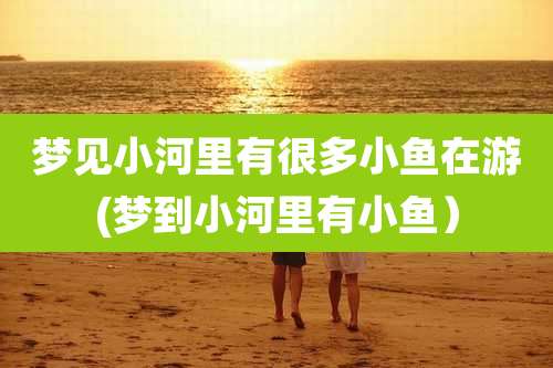 梦见小河里有很多小鱼在游(梦到小河里有小鱼）
