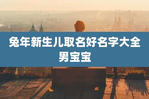 兔年新生儿取名好名字大全男宝宝