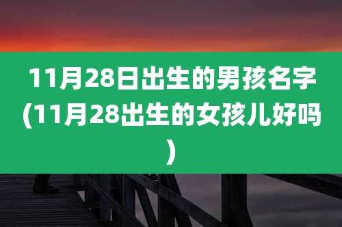 11月28日出生的男孩名字(11月28出生的女孩儿好吗)
