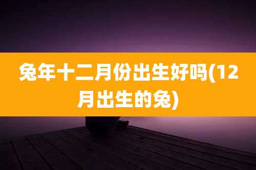 兔年十二月份出生好吗(12月出生的兔)
