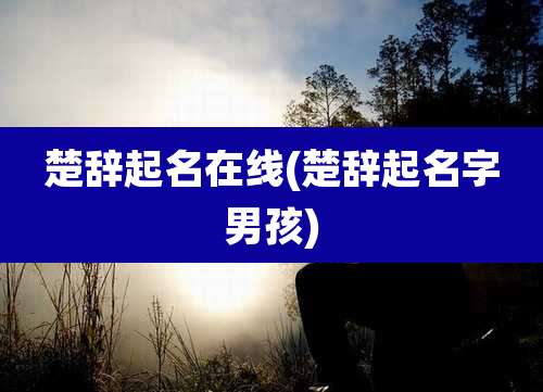 楚辞起名在线(楚辞起名字男孩)
