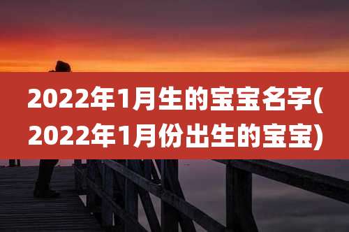 2022年1月生的宝宝名字(2022年1月份出生的宝宝)