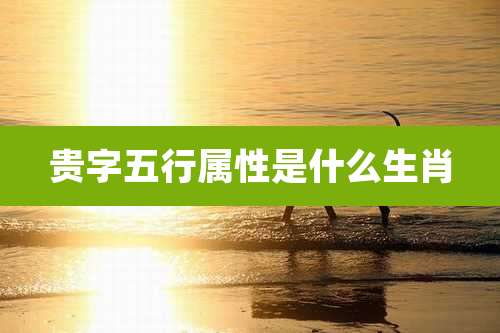贵字五行属性是什么生肖