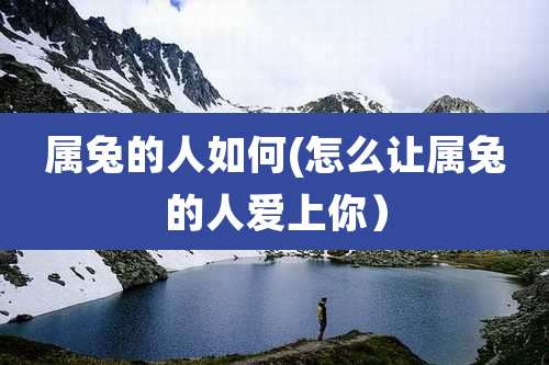 属兔的人如何(怎么让属兔的人爱上你）