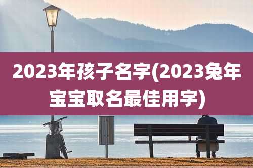 2023年孩子名字(2023兔年宝宝取名最佳用字)