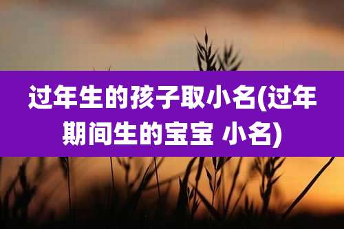 过年生的孩子取小名(过年期间生的宝宝 小名)