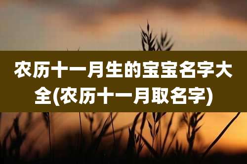 农历十一月生的宝宝名字大全(农历十一月取名字)