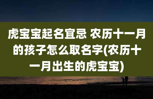 虎宝宝起名宜忌 农历十一月的孩子怎么取名字(农历十一月出生的虎宝宝)