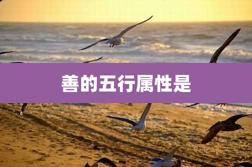 善的五行属性是
