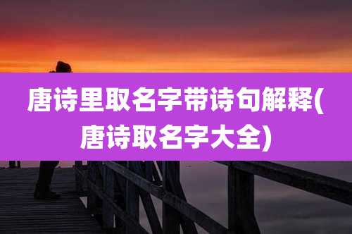 唐诗里取名字带诗句解释(唐诗取名字大全)