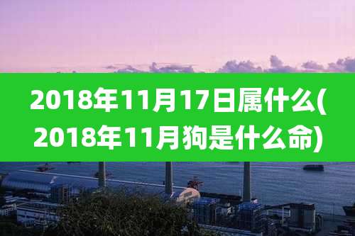 2018年11月17日属什么(2018年11月狗是什么命)