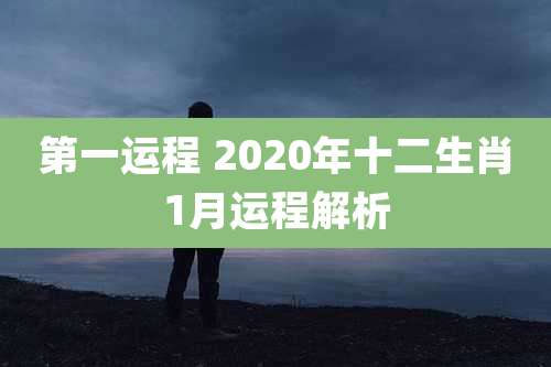 第一运程 2020年十二生肖1月运程解析