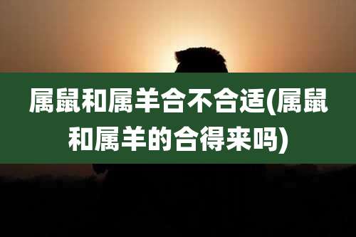 属鼠和属羊合不合适(属鼠和属羊的合得来吗)