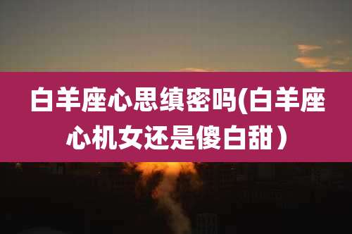 白羊座心思缜密吗(白羊座心机女还是傻白甜)