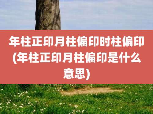 年柱正印月柱偏印时柱偏印(年柱正印月柱偏印是什么意思)