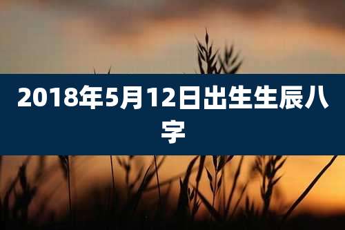 2018年5月12日出生生辰八字