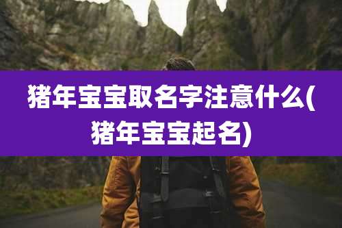 猪年宝宝取名字注意什么(猪年宝宝起名)