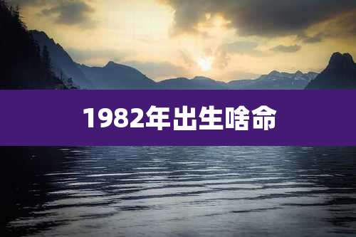 1982年出生啥命