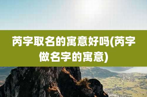 芮字取名的寓意好吗(芮字做名字的寓意)