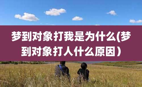 梦到对象打我是为什么(梦到对象打人什么原因）