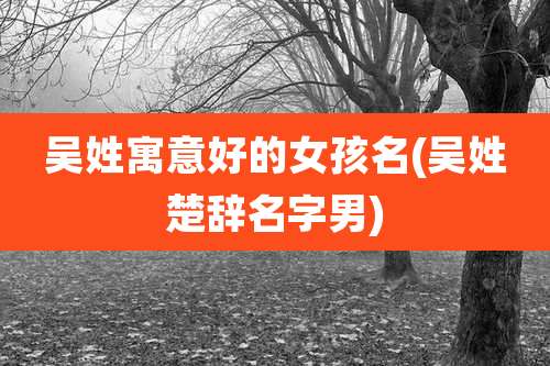吴姓寓意好的女孩名(吴姓楚辞名字男)