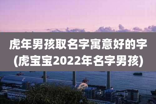 虎年男孩取名字寓意好的字(虎宝宝2022年名字男孩)