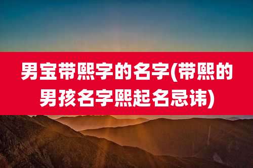 男宝带熙字的名字(带熙的男孩名字熙起名忌讳)