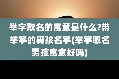 举字取名的寓意是什么?带举字的男孩名字(举字取名男孩寓意好吗)