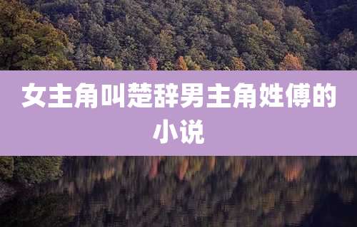 女主角叫楚辞男主角姓傅的小说