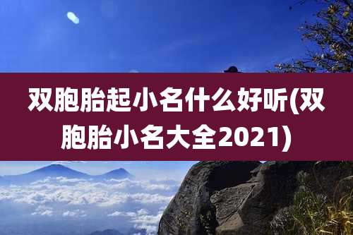 双胞胎起小名什么好听(双胞胎小名大全2021)