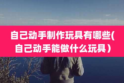 自己动手制作玩具有哪些(自己动手能做什么玩具）