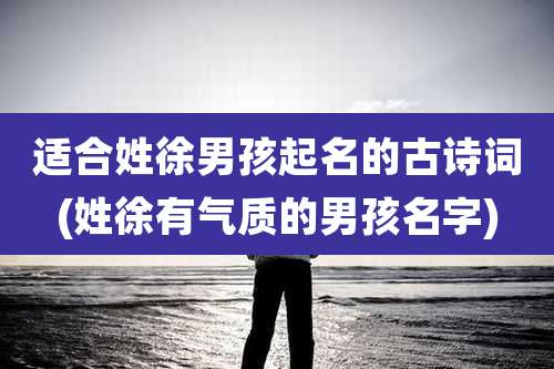 适合姓徐男孩起名的古诗词(姓徐有气质的男孩名字)