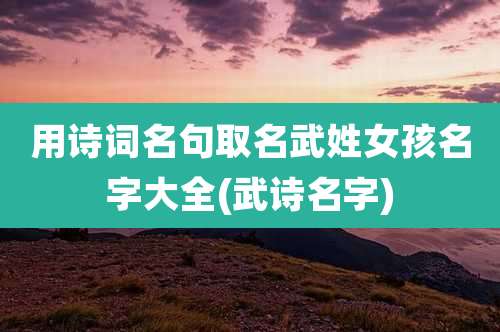 用诗词名句取名武姓女孩名字大全(武诗名字)