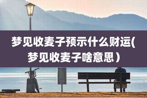 梦见收麦子预示什么财运(梦见收麦子啥意思)